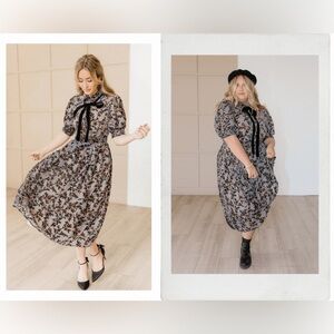 Ivy City Co. Delaney Dress in Black